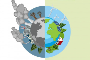 Giornata Mondiale dell’Ambiente: oltre 106 milioni investiti dalla Provincia di Treviso per ridurre l’inquinamento e tutelare la salute pubblica
