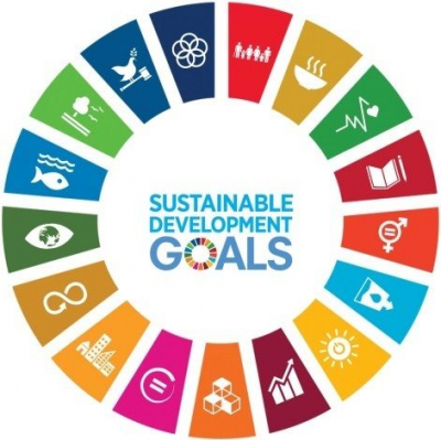 Asvis. Rapporto 2021 - I territori e gli Obiettivi di sviluppo sostenibile