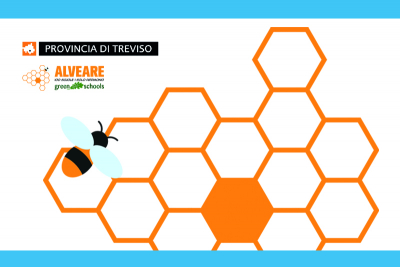 “Alveare 100 Scuole”, la Provincia di Treviso pubblica una guida agli Istituti Superiori di Secondo Grado del territorio