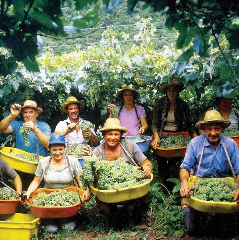 011e88ef4a8328e08be9d913808b8290