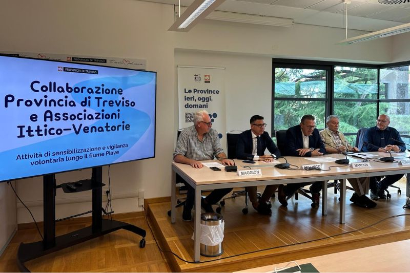 4a731cb975d8a85e08e102d6760e988b