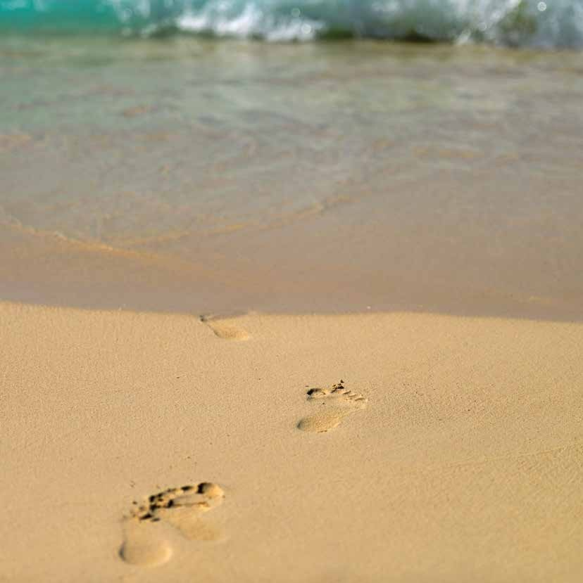 5b98a51d844cf083418c7193dcee292b