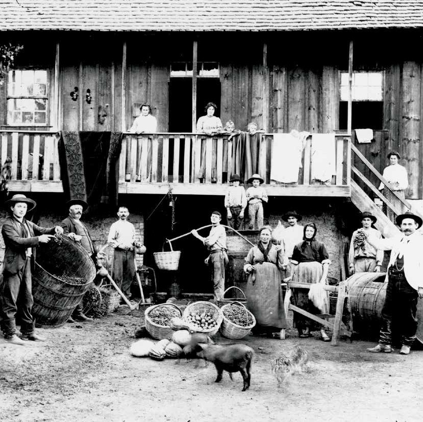 83a9554230ed6e6cccfe522a2a4bd53e