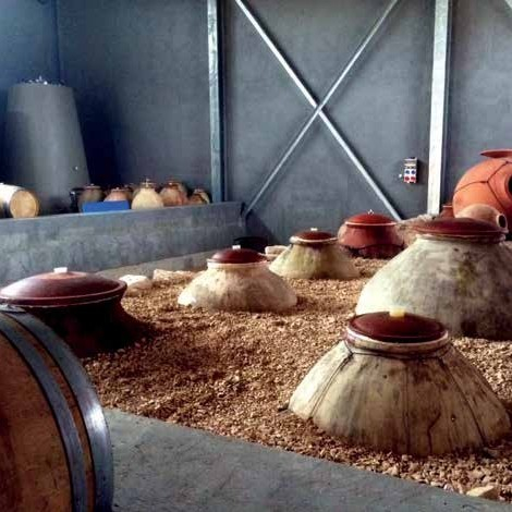 8b072d4f47fa16702f8c7356d2c88ee8