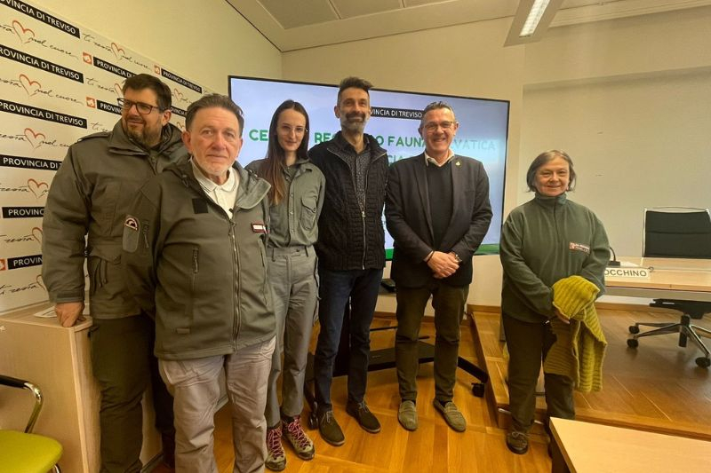 97b9afb5c27269ae8ecdce79202f6e32