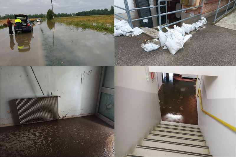 cd81e1cfd061a9d00f64f30a0272cbf3