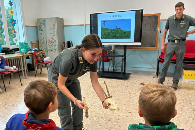 df8bdc0787eb68c35292ff74fa60466b