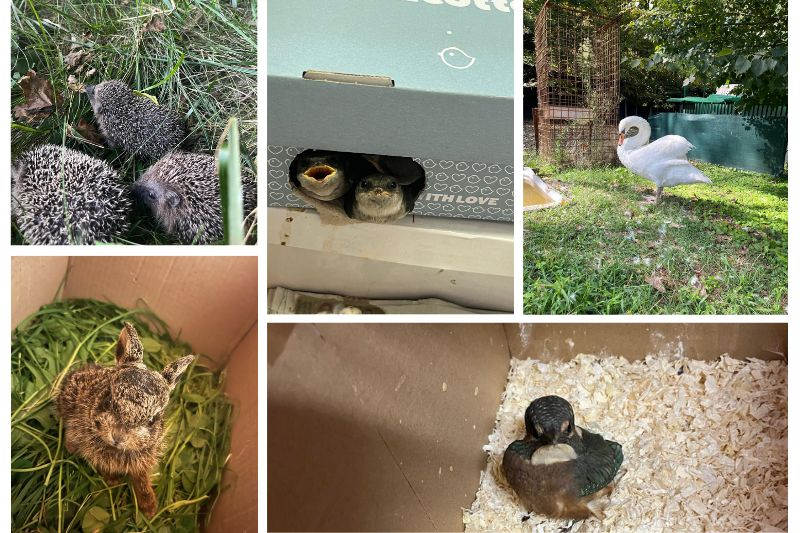 e7623022370b992338d18aa3b2bf4409