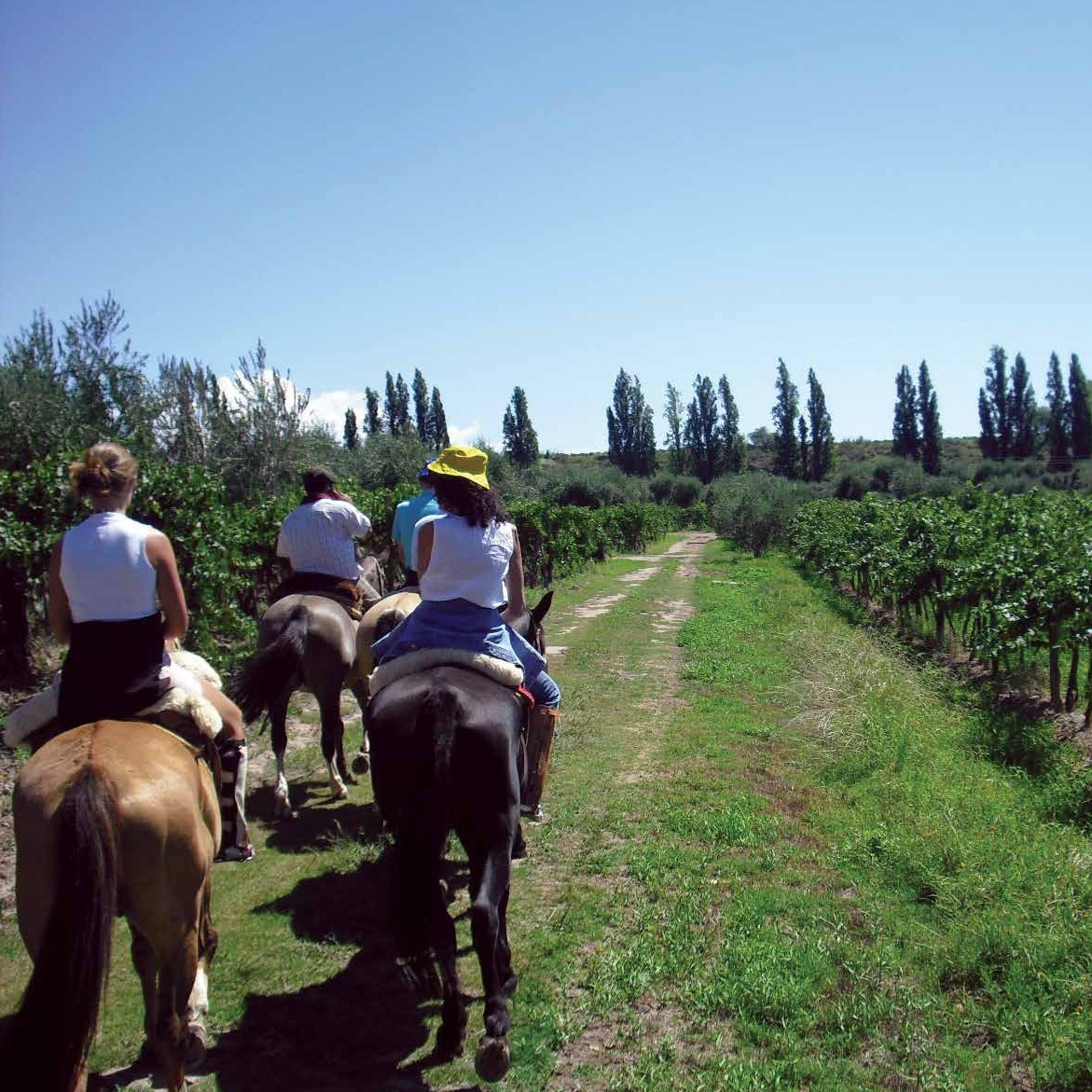 ec9e5d4418cddeb916f54861fa51abb5